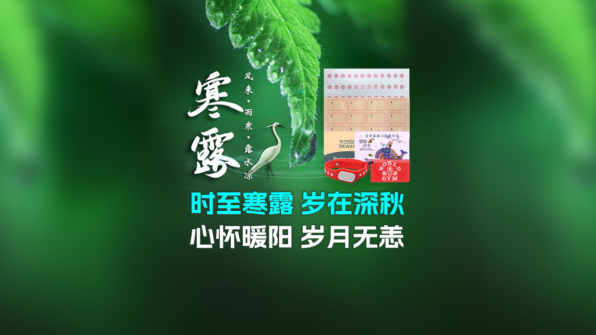 寒露至秋意濃，卡立方集團(tuán)攜RFID智能卡中料木卡腕帶伴您暖度深秋